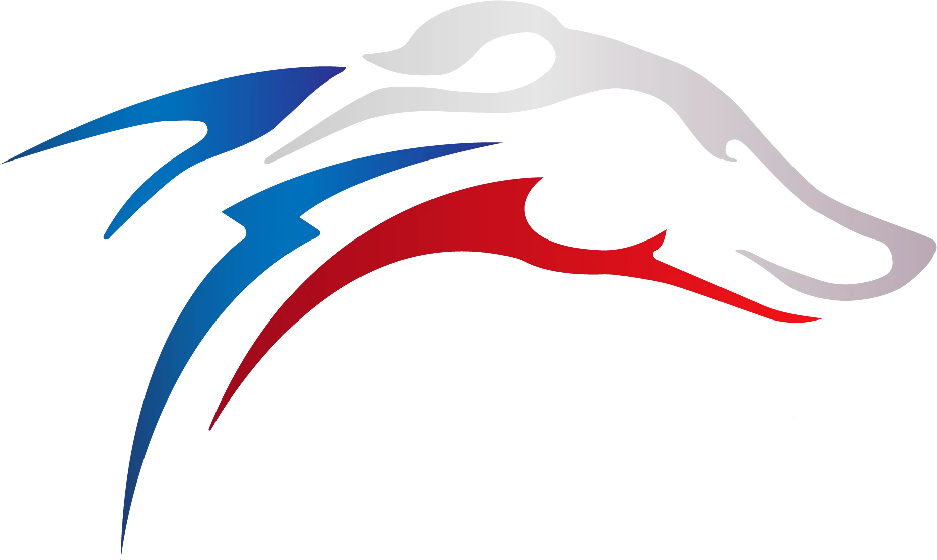 WCC 20205 Logo